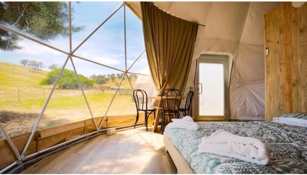 Caravans Park & Glamping Tents In The Vineyard Turda Exterior photo