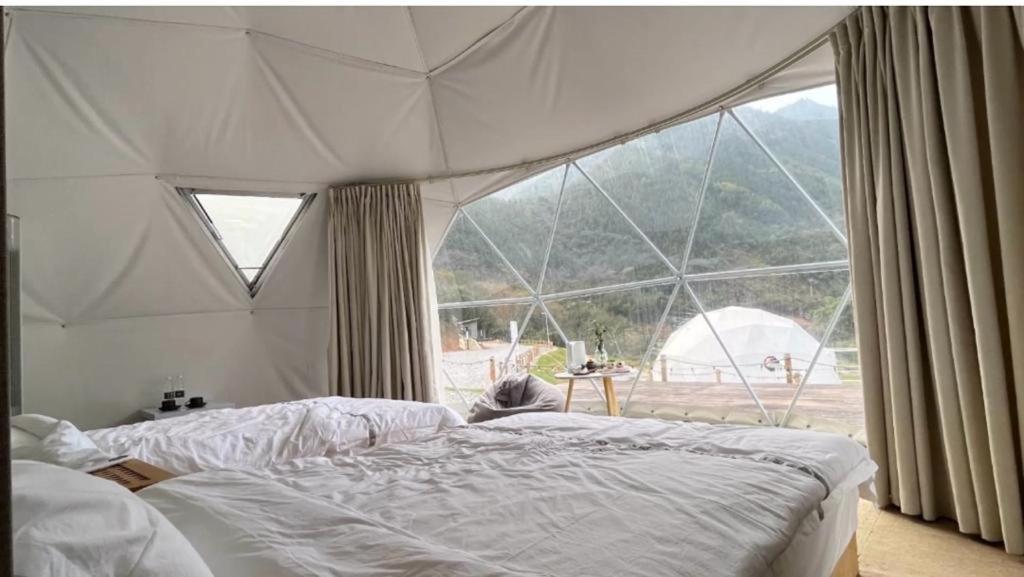 Caravans Park & Glamping Tents In The Vineyard Turda Exterior photo